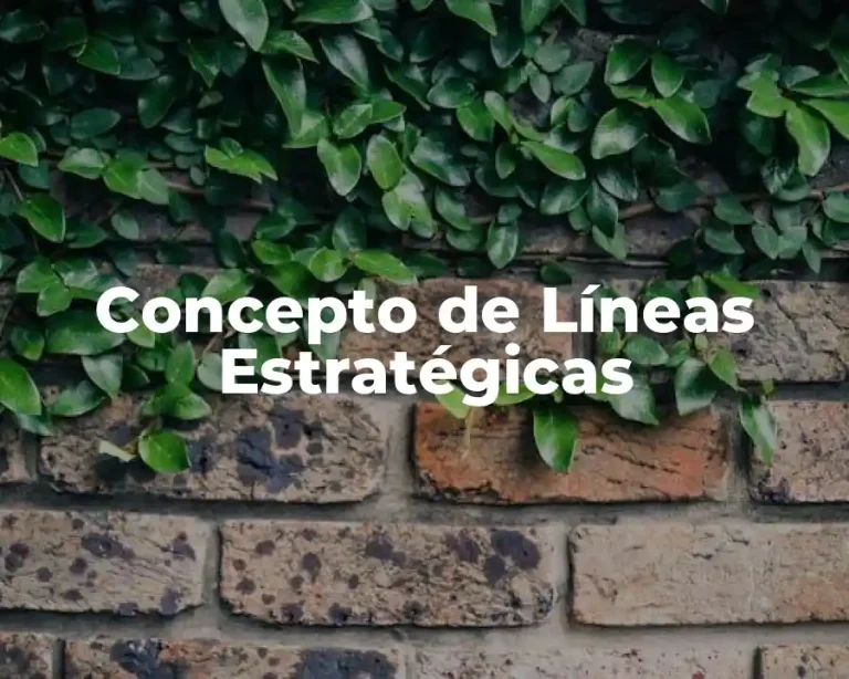 Concepto de Líneas Estratégicas