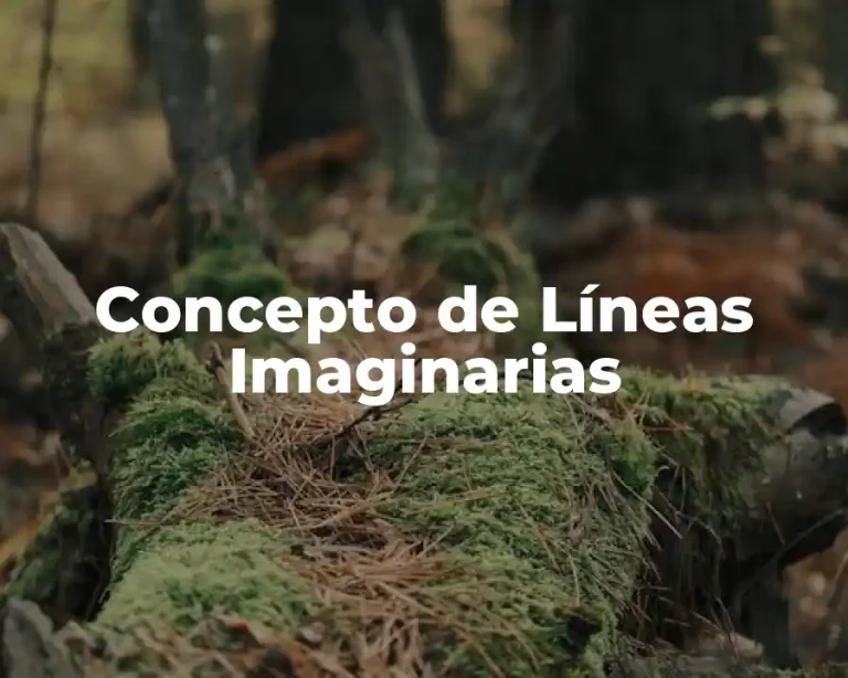 Concepto de Líneas Imaginarias