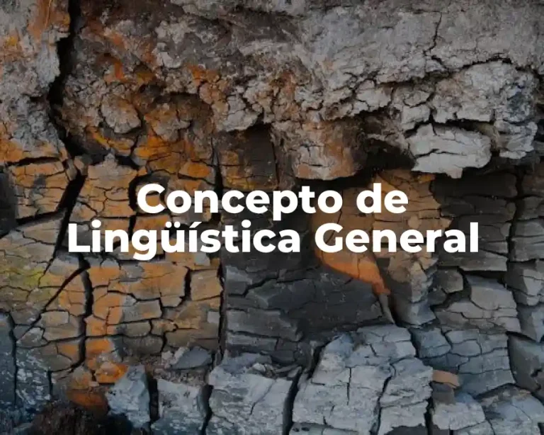 Concepto de Lingüística General