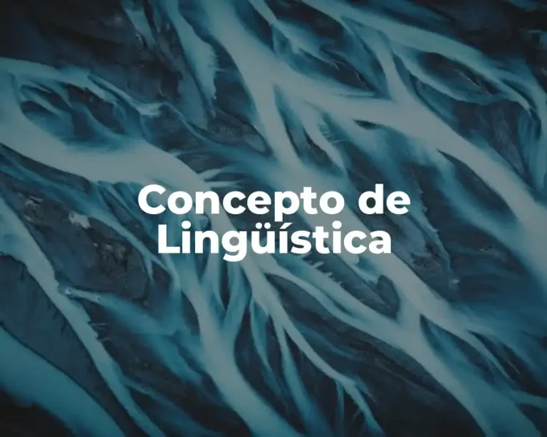 Concepto de Lingüística
