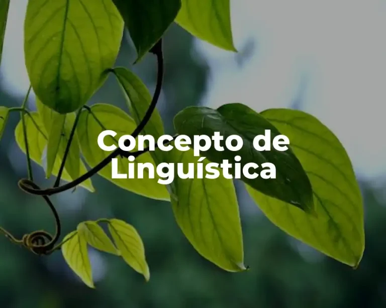 Concepto de Linguística