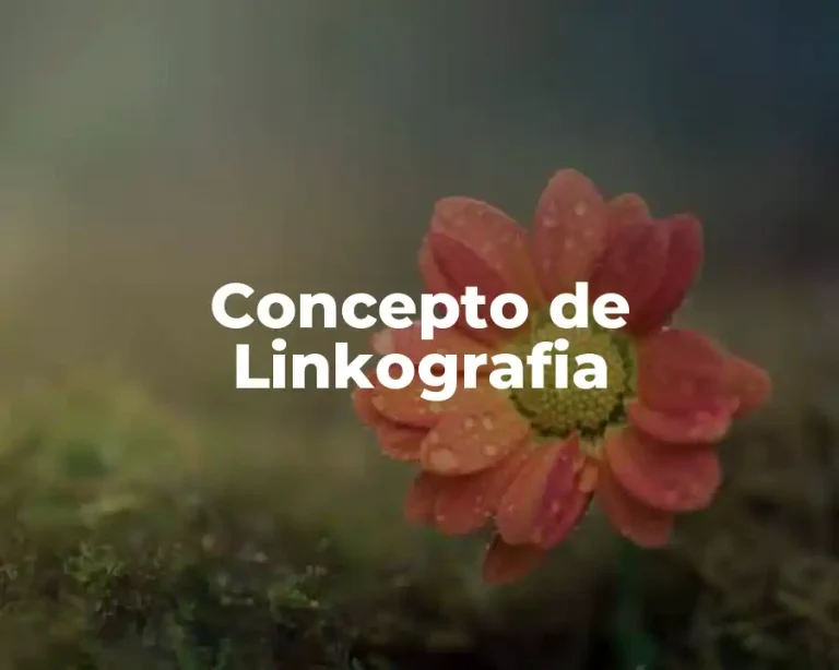 Concepto de Linkografia