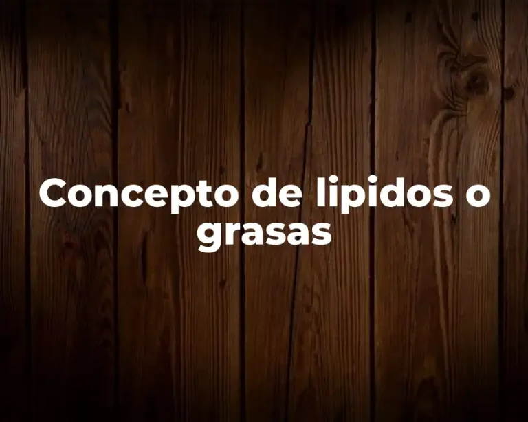 Concepto de lipidos o grasas