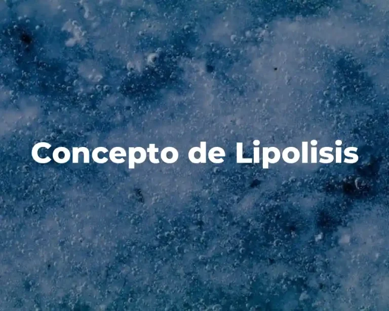 Concepto de Lipolisis