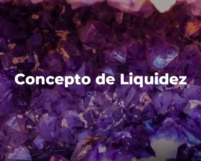Concepto de Liquidez