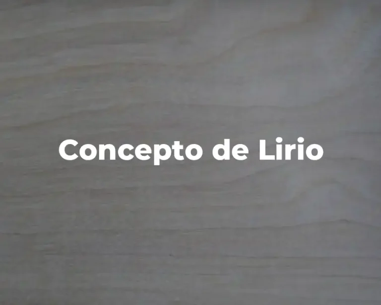 Concepto de Lirio