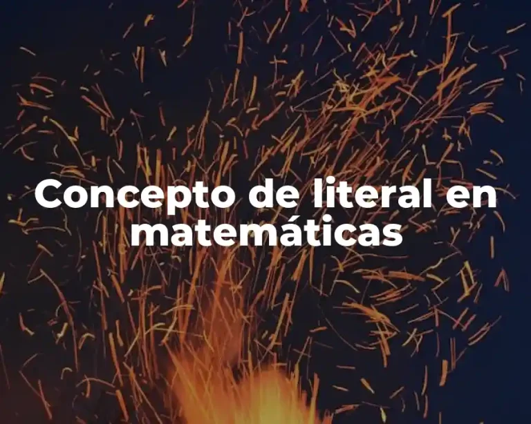 Concepto de literal en matemáticas