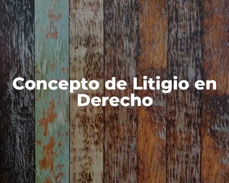 Concepto de Litigio en Derecho