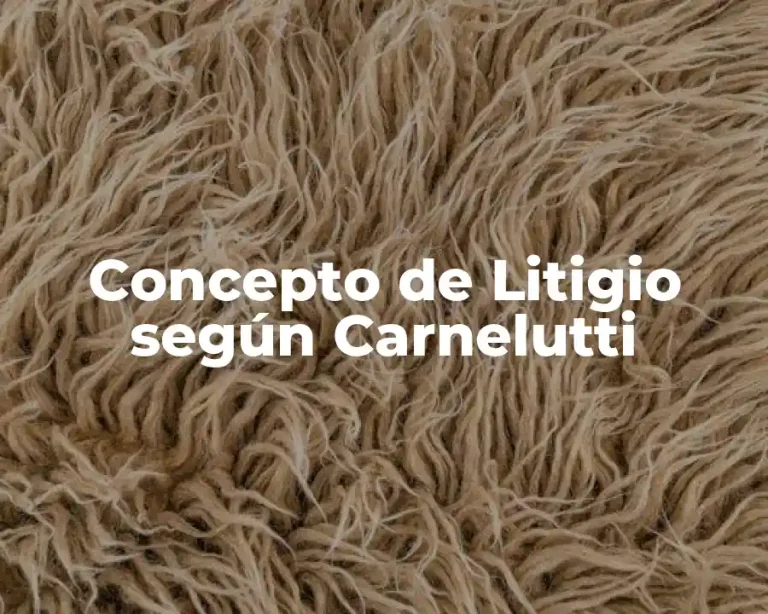Concepto de Litigio según Carnelutti