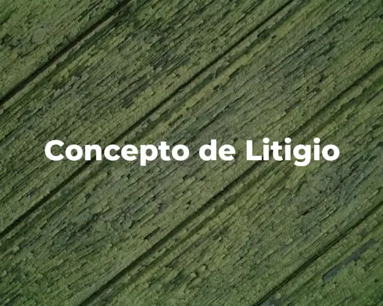Concepto de Litigio
