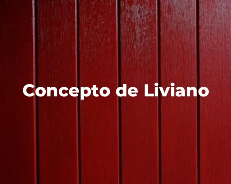 Concepto de Liviano