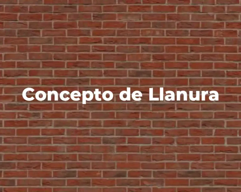 Concepto de Llanura