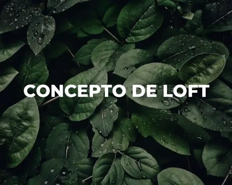 CONCEPTO DE LOFT