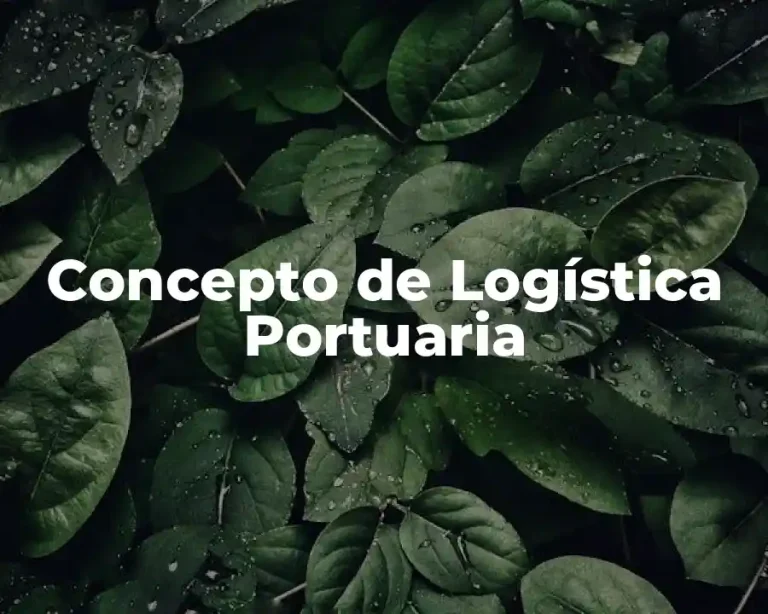 Concepto de Logística Portuaria