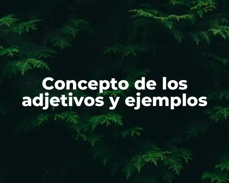 Concepto de los adjetivos y ejemplos