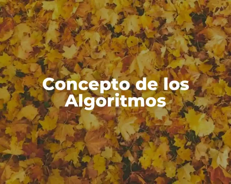 Concepto de los Algoritmos