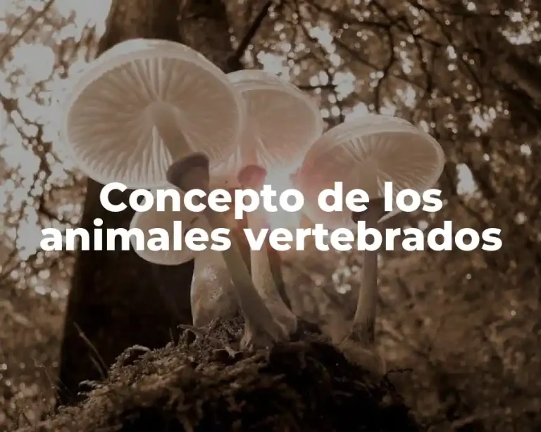 Concepto de los animales vertebrados