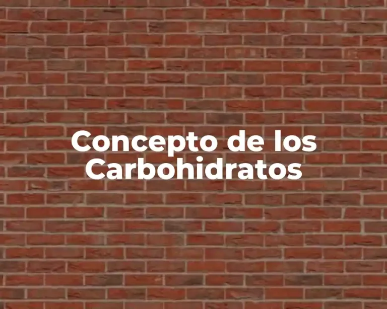 Concepto de los Carbohidratos