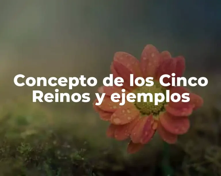 Concepto de los Cinco Reinos y ejemplos