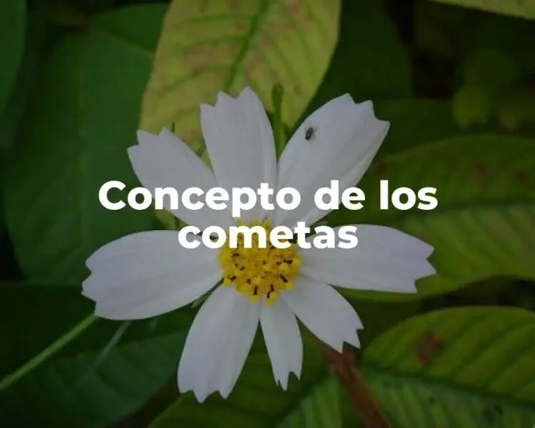 Concepto de los cometas