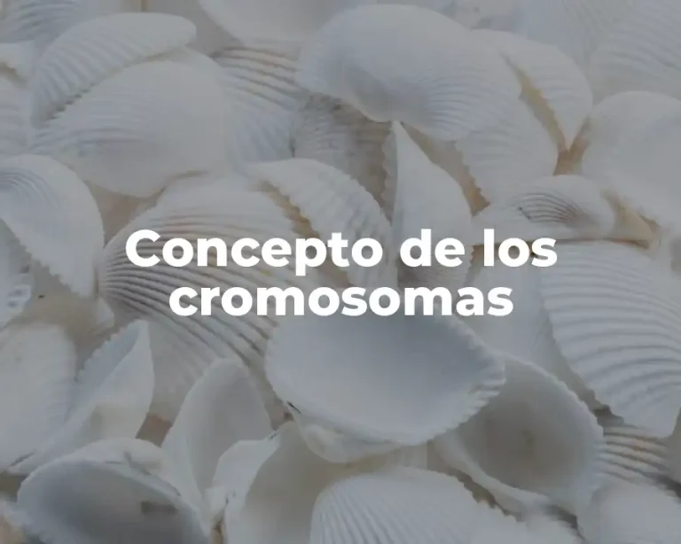 Concepto de los cromosomas