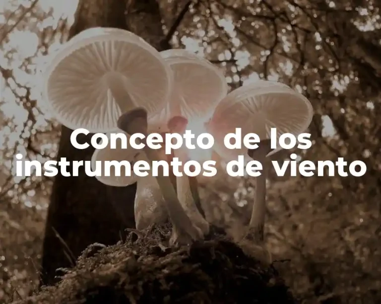 Concepto de los instrumentos de viento