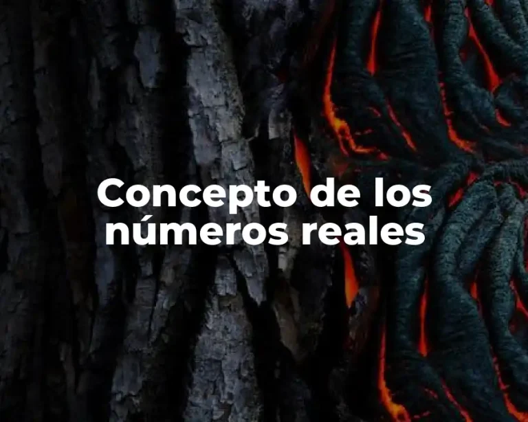 Concepto de los números reales