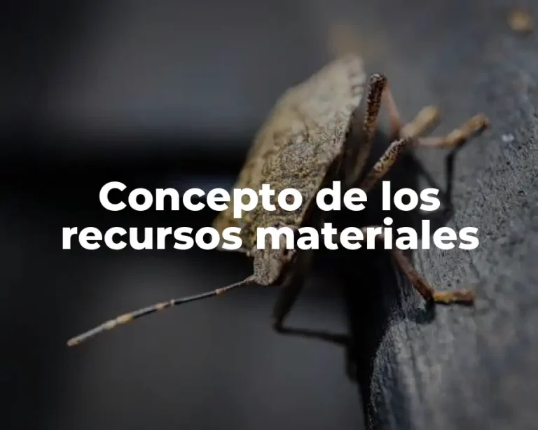 Concepto de los recursos materiales