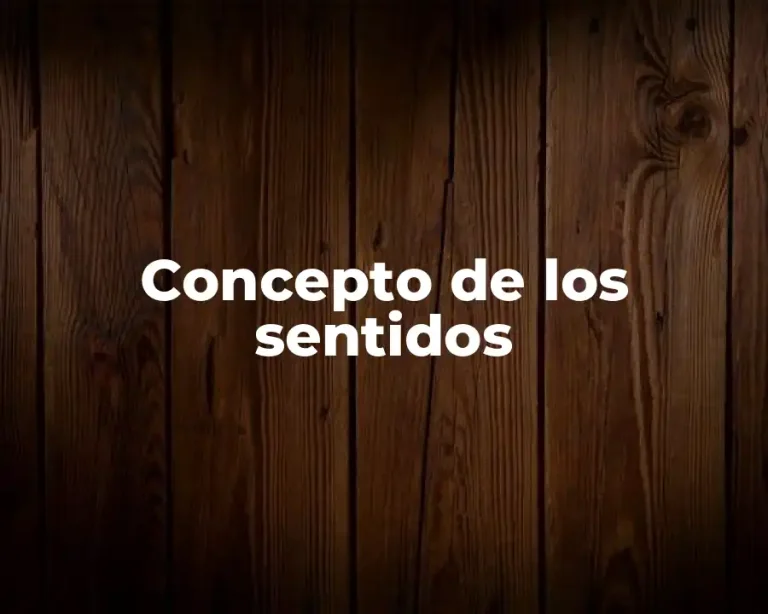 Concepto de los sentidos