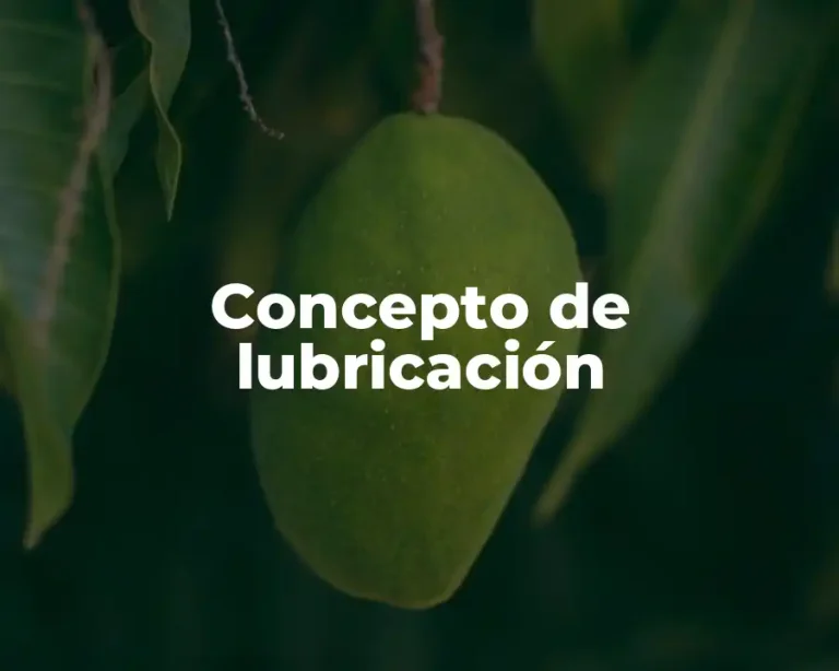 Concepto de lubricación
