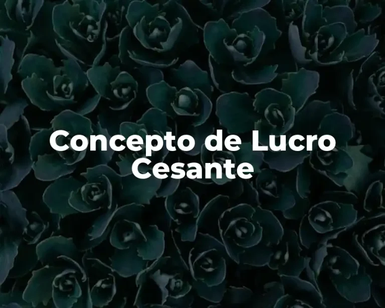 Concepto de Lucro Cesante
