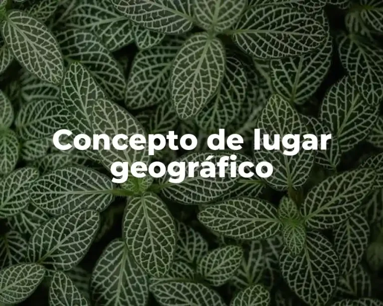 Concepto de lugar geográfico