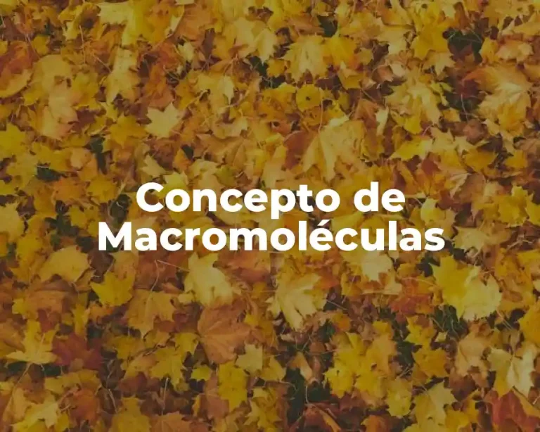 Concepto de Macromoléculas