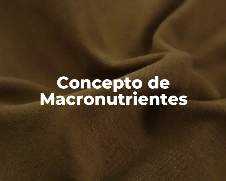 Concepto de Macronutrientes