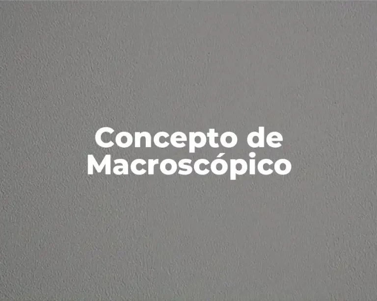 Concepto de Macroscópico