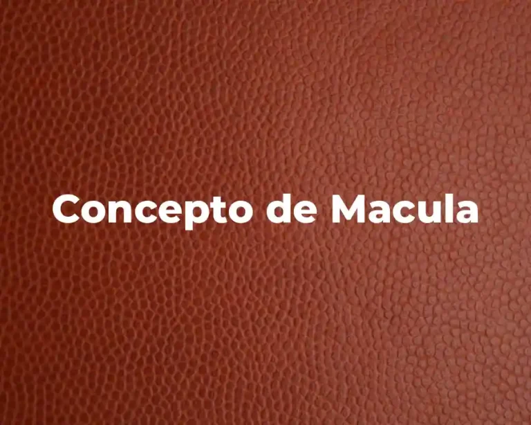 Concepto de Macula
