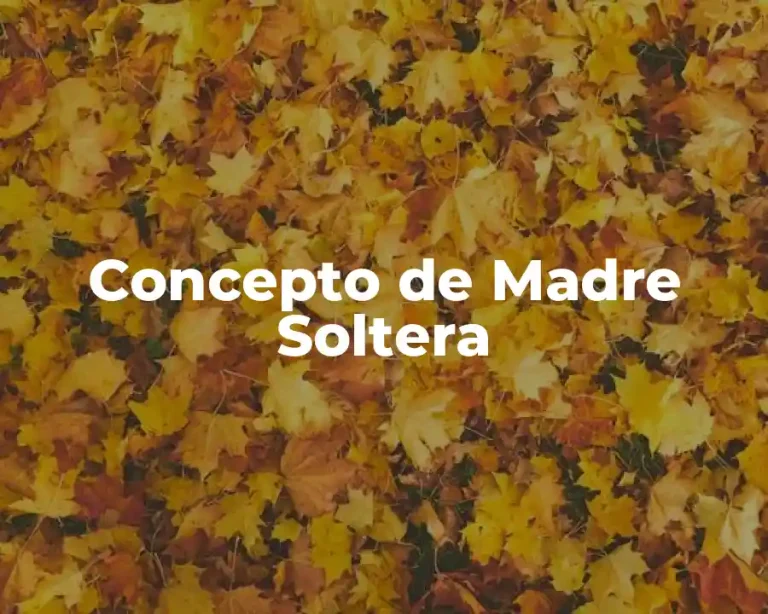 Concepto de Madre Soltera