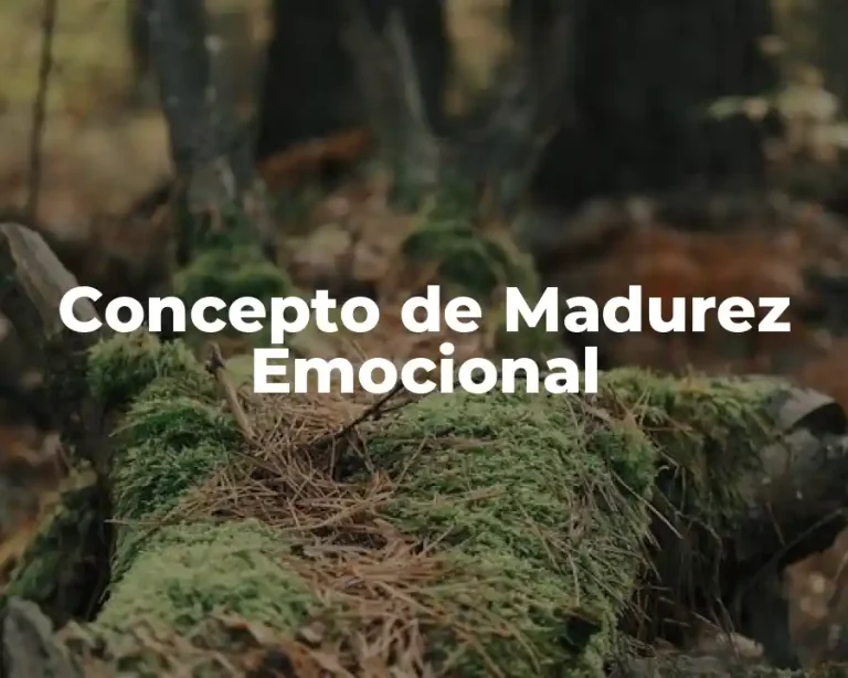 Concepto de Madurez Emocional