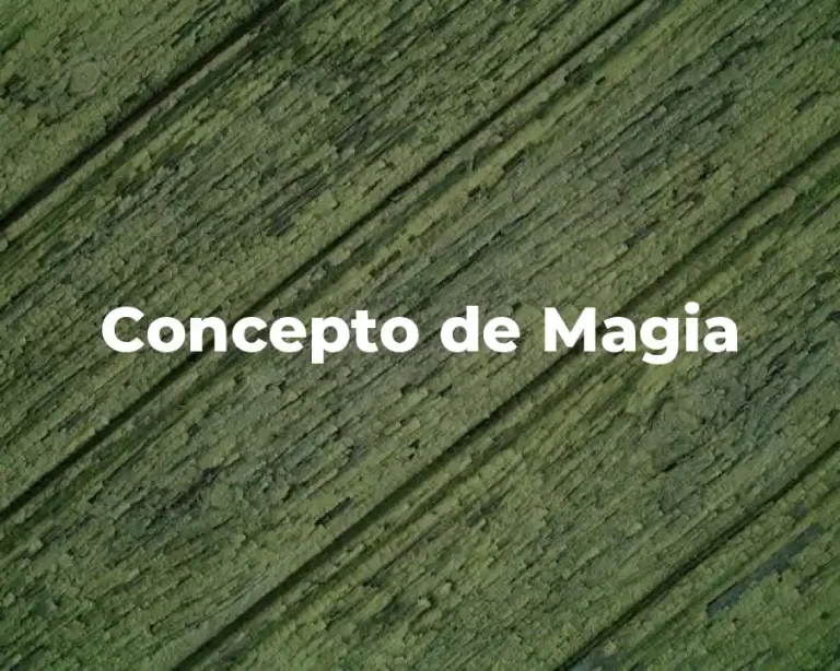 Concepto de Magia