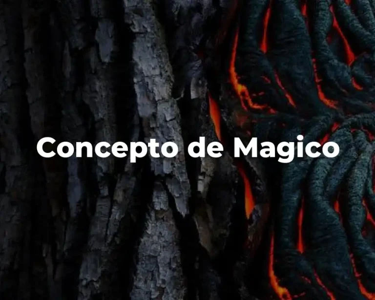 Concepto de Magico