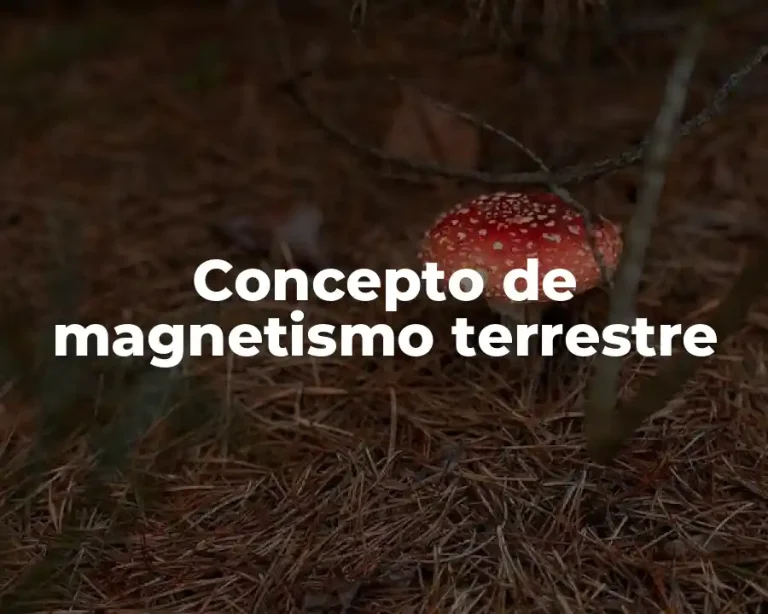 Concepto de magnetismo terrestre