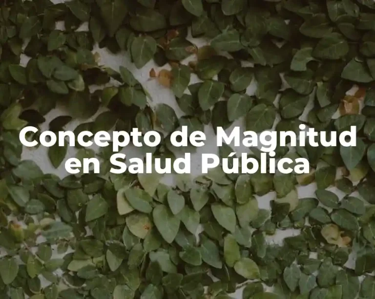 Concepto de Magnitud en Salud Pública