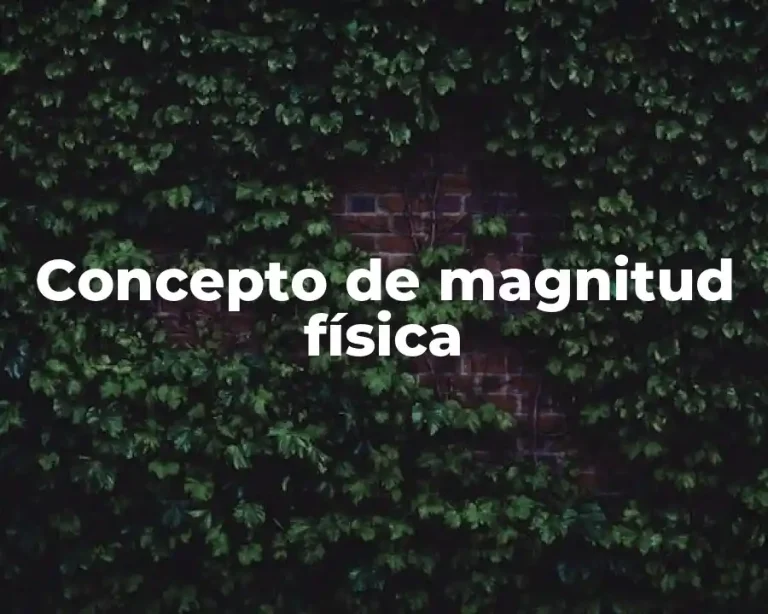 Concepto de magnitud física