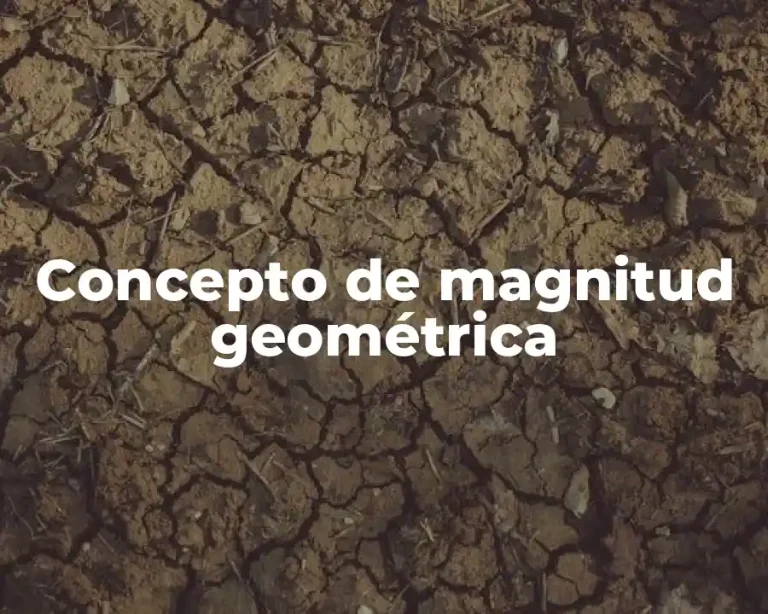 Concepto de magnitud geométrica