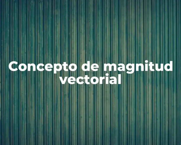 Concepto de magnitud vectorial