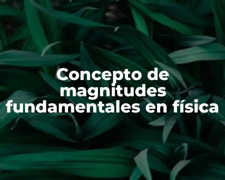 Concepto de magnitudes fundamentales en física