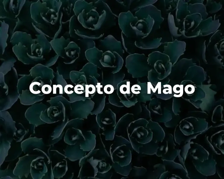 Concepto de Mago