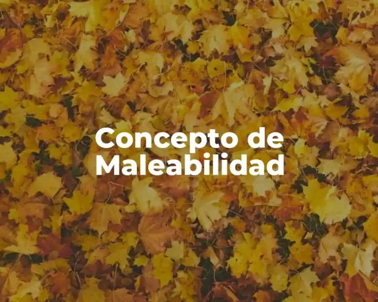Concepto de Maleabilidad