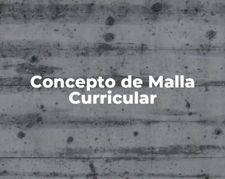 Concepto de Malla Curricular