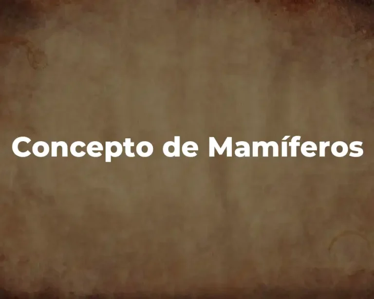 Concepto de Mamíferos